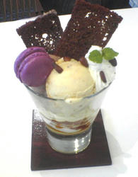 DSC00253.JPG