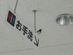 b38b7f41.jpg