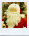 cut_09.gif