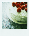food31.gif