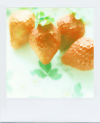 food32.gif