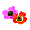 flower01.gif