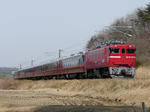 DSC06329.JPG