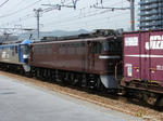 DSC08087.JPG