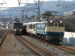 DSC01276.JPG
