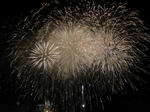 s-DSC00499.jpg