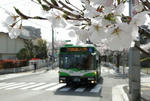 s-DSC06307.jpg