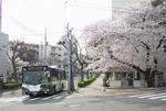 s-DSC06362.jpg