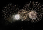 s-DSC08308.jpg