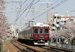 s-DSC01266.jpg