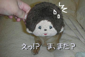 389350a1.jpg