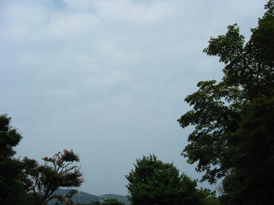 IMG_4966.JPG