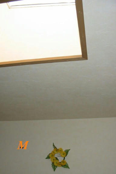 IMG_4957.jpg