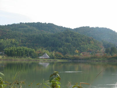 IMG_5187.JPG