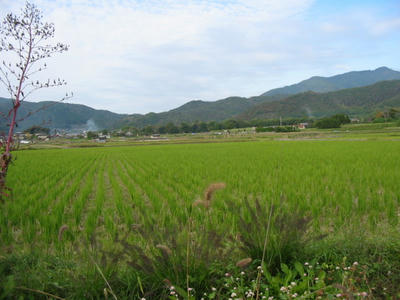 IMG_5190.JPG
