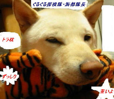 tigermakura2.jpg