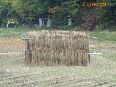 hazakake.jpg