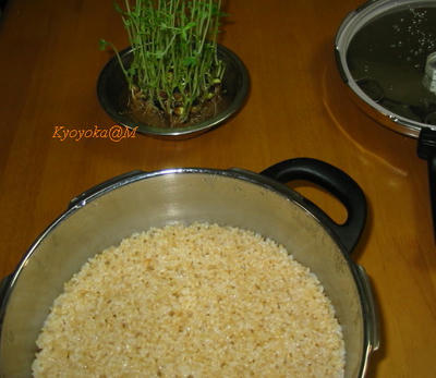takasimamai1.jpg