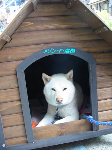 kaitohouse.jpg