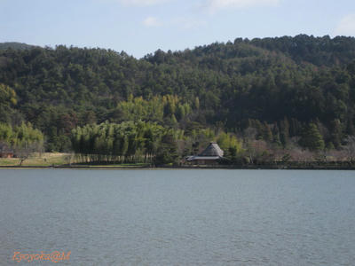 IMG_0208.jpg