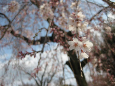 IMG_0446.JPG