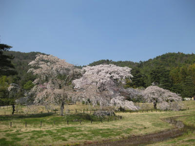 IMG_0516.JPG