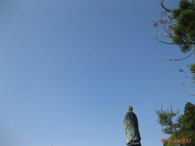 IMG_1047.jpg