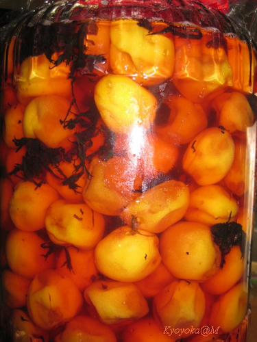 akaumebosi2009.jpg