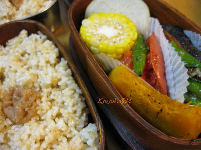 bento-8-28-2009.jpg