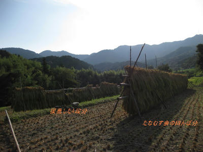 c80cdfb8.jpg