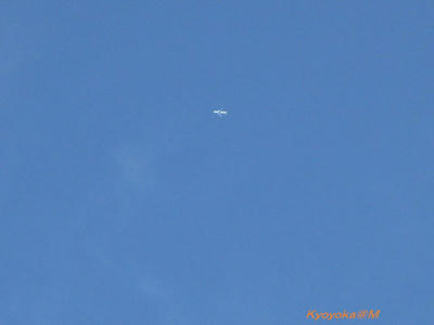 IMG_2136.jpg