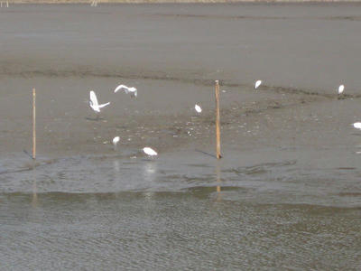 IMG_2404~1.jpg