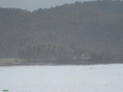 yukigesiki2010.jpg