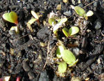 20120212.jpg