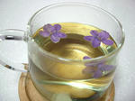 20120321sv-tea.jpg