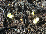 20120524ho3.jpg
