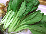 20120616-na.jpg