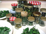 20120627dry.jpg