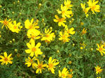 20121011lm.jpg