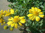 20121021ten.jpg