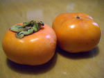 20121113kaki.jpg