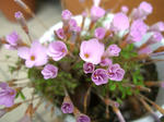 20121120o-sofia2.jpg