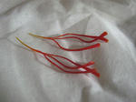 20121202saf3.jpg