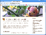 Google Chromeキャプチャ画像