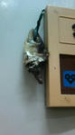 20090203224915.jpg