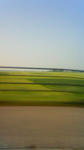 200908171612000.jpg