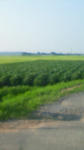 200908171613000.jpg