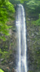 200908181214000.jpg