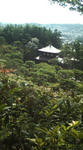 20090818150544.jpg