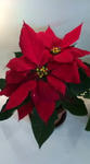 20091115141321.jpg